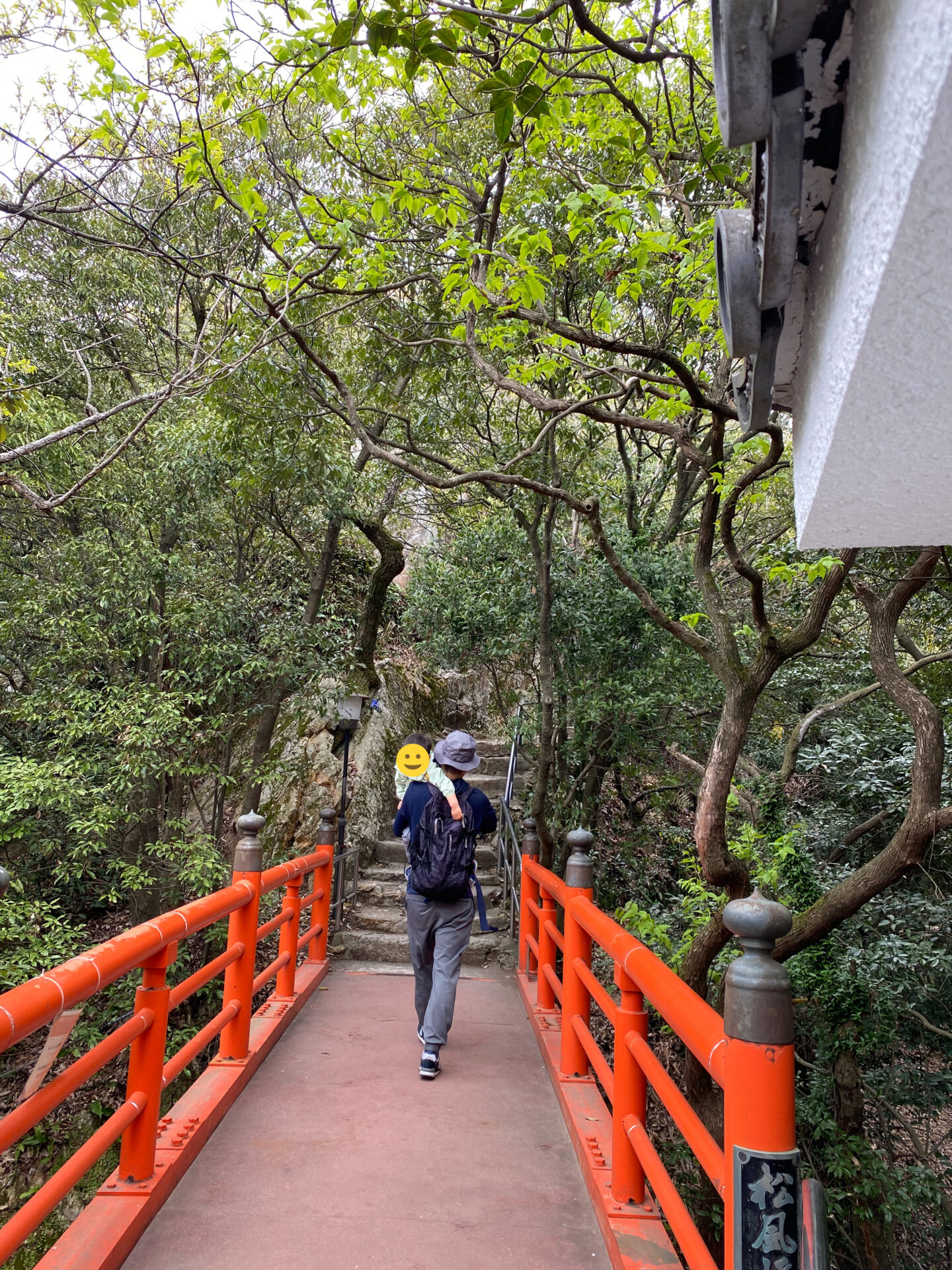 金華山登山の様子（歩けず抱っこされる）