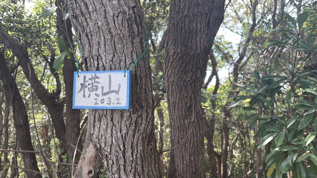 横山　山頂