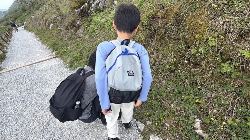 伊吹山に咲く花を調べる親子