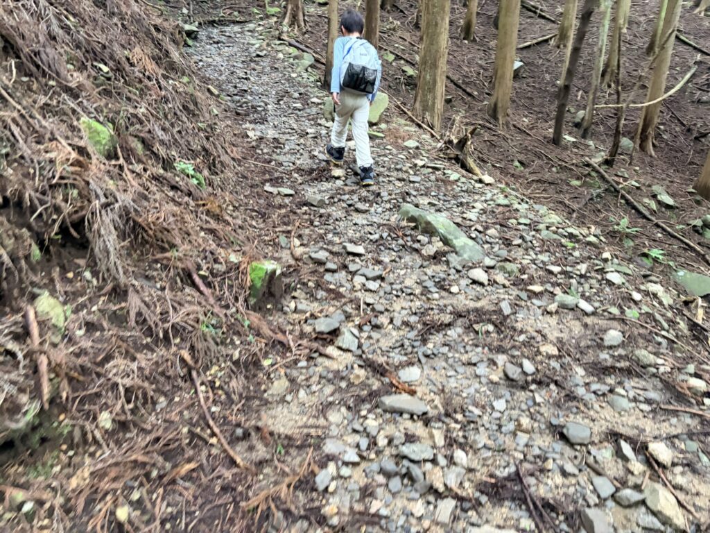 経ヶ峰登山道の様子（まだ楽なところ）